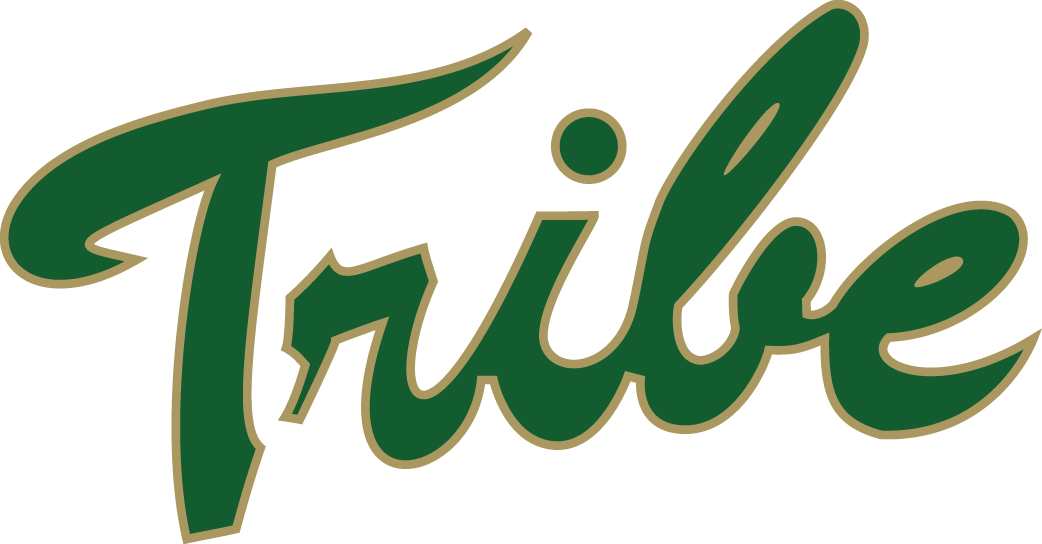 William and Mary Tribe 2009-Pres Primary Logo iron on transfers for T-shirts